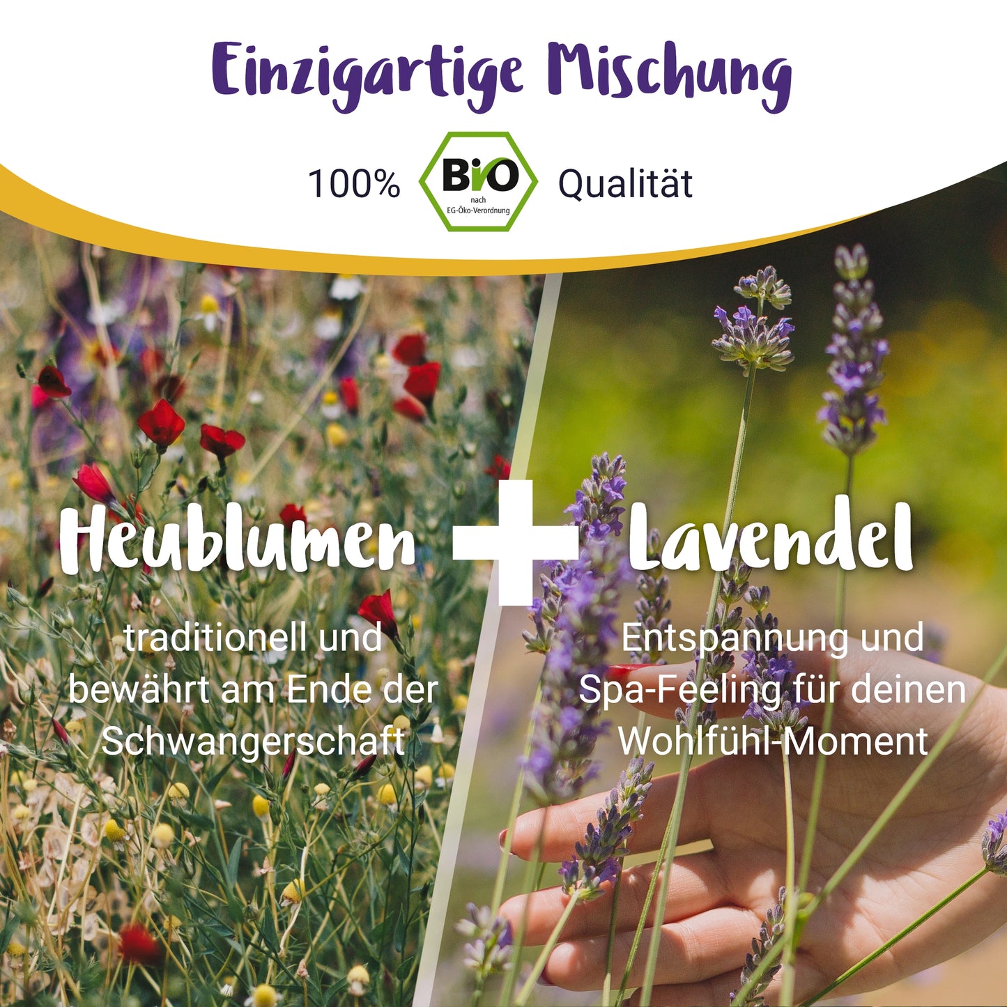 Heublumen Sitzbad