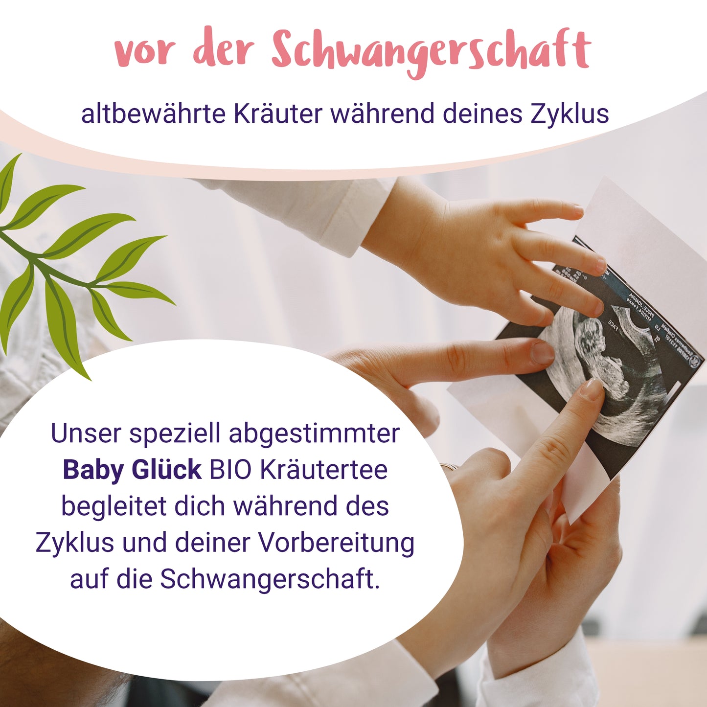 Baby Glück - BIO Schwangerschaftstee