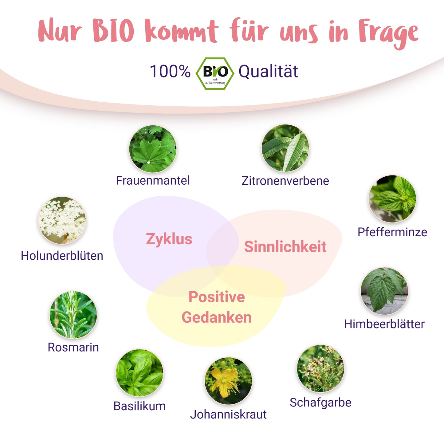 Baby Glück - BIO Schwangerschaftstee