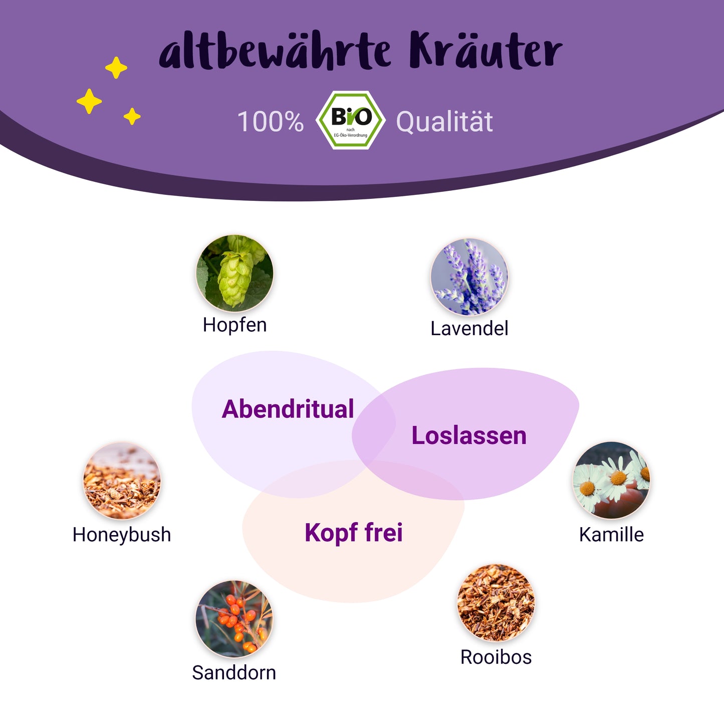 Gute Nacht Mami - BIO Schwangerschaftstee