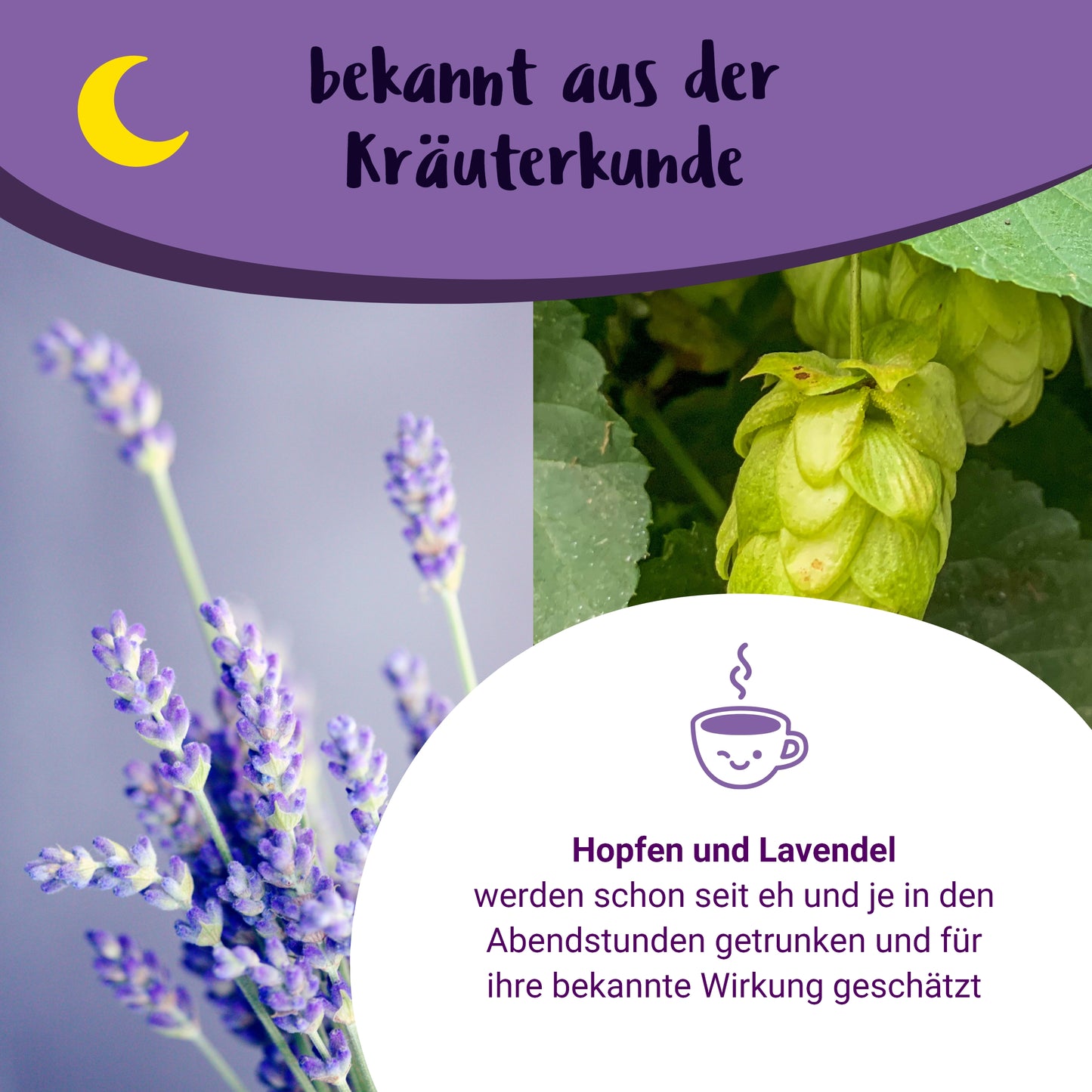 Gute Nacht Mami - BIO Schwangerschaftstee