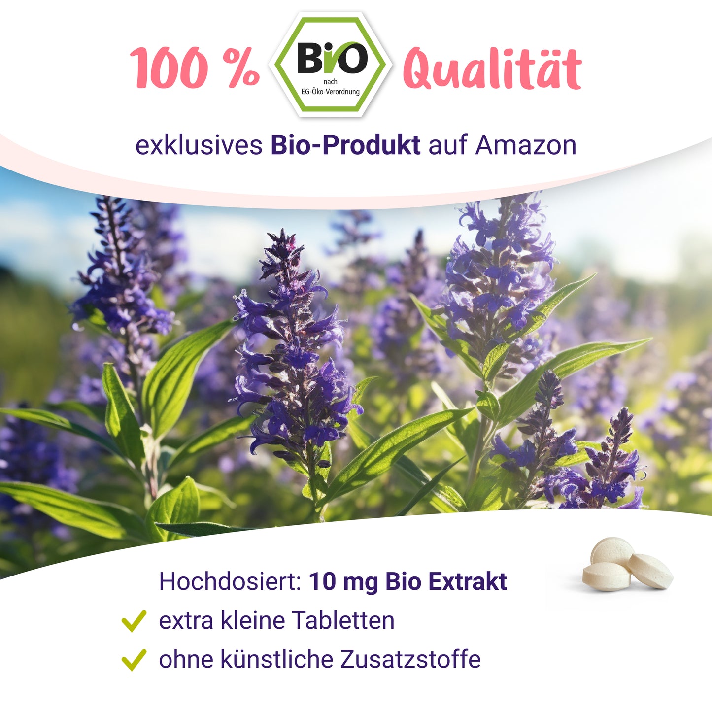 240 Tabletten