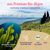 Jod aus Bio-Kelp